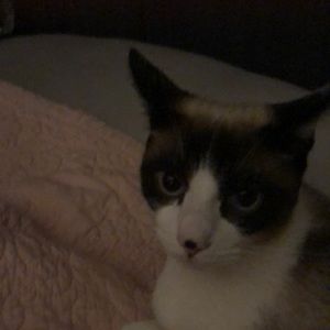 Meet your Posher, Leah